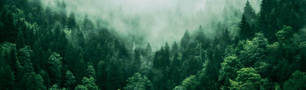 footer cta 1024x302.jpg footer cta 1024x302.jpg